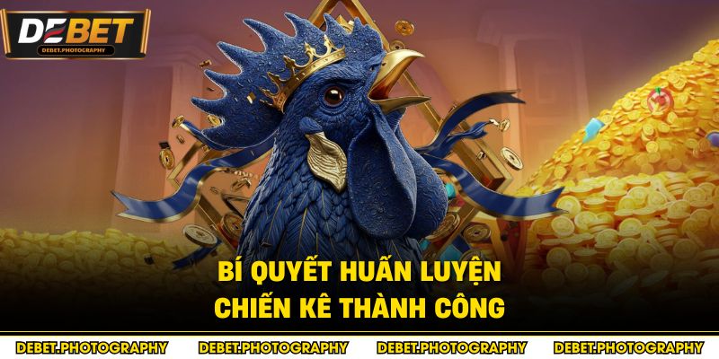 Bí quyết huấn luyện chiến kê thành công