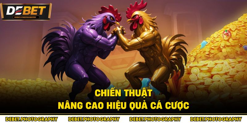 Chiến thuật nâng cao hiệu quả cá cược