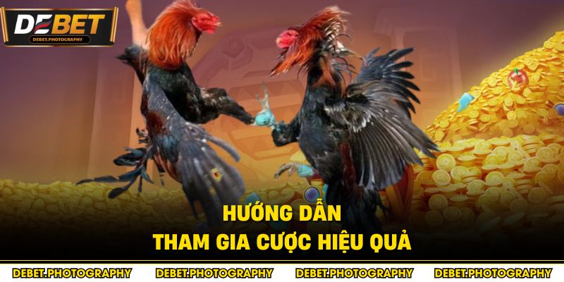 Hướng dẫn tham gia cược hiệu quả