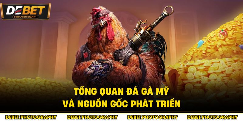 Tổng quan đá gà mỹ và nguồn gốc phát triển