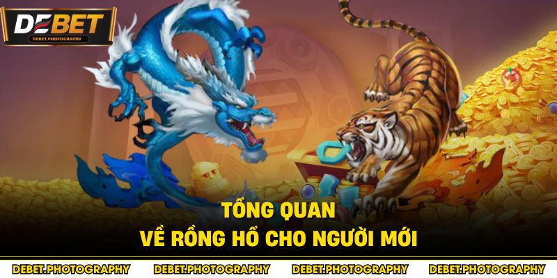 Tổng quan về rồng hổ cho người mới