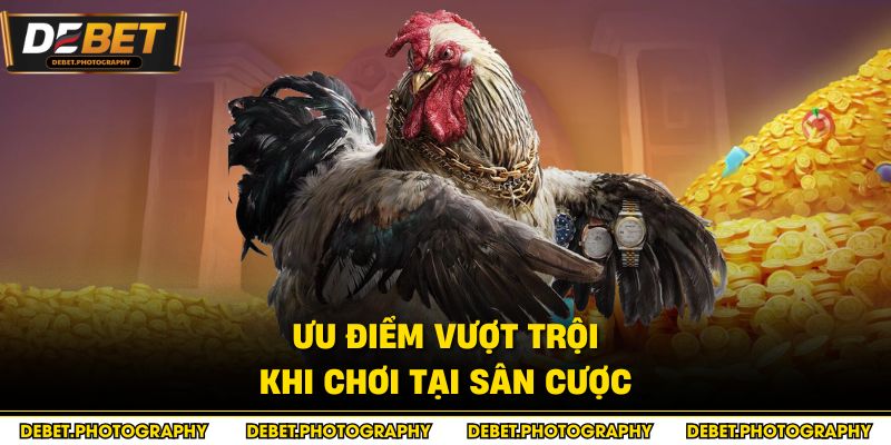 Ưu điểm vượt trội khi chơi tại sân cược