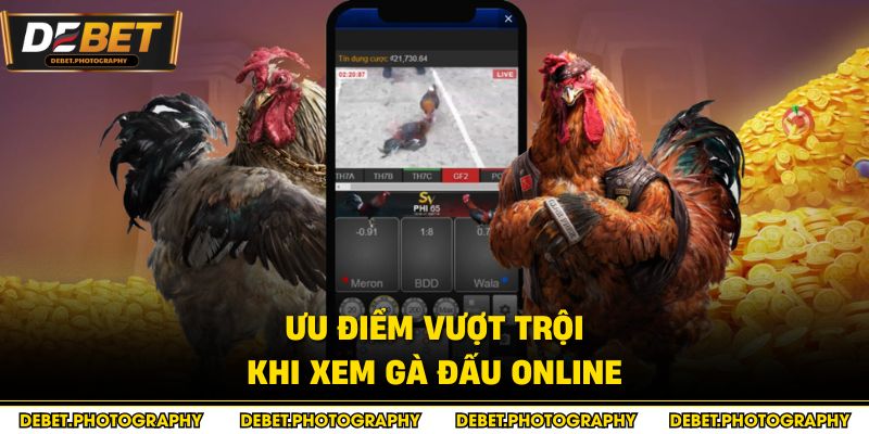 Ưu điểm vượt trội khi xem gà đấu online